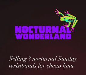 2 Sunday Wristbands For Cheap