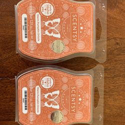 2x Warm Pumpkin Drizzle Scentsy Wax Bars