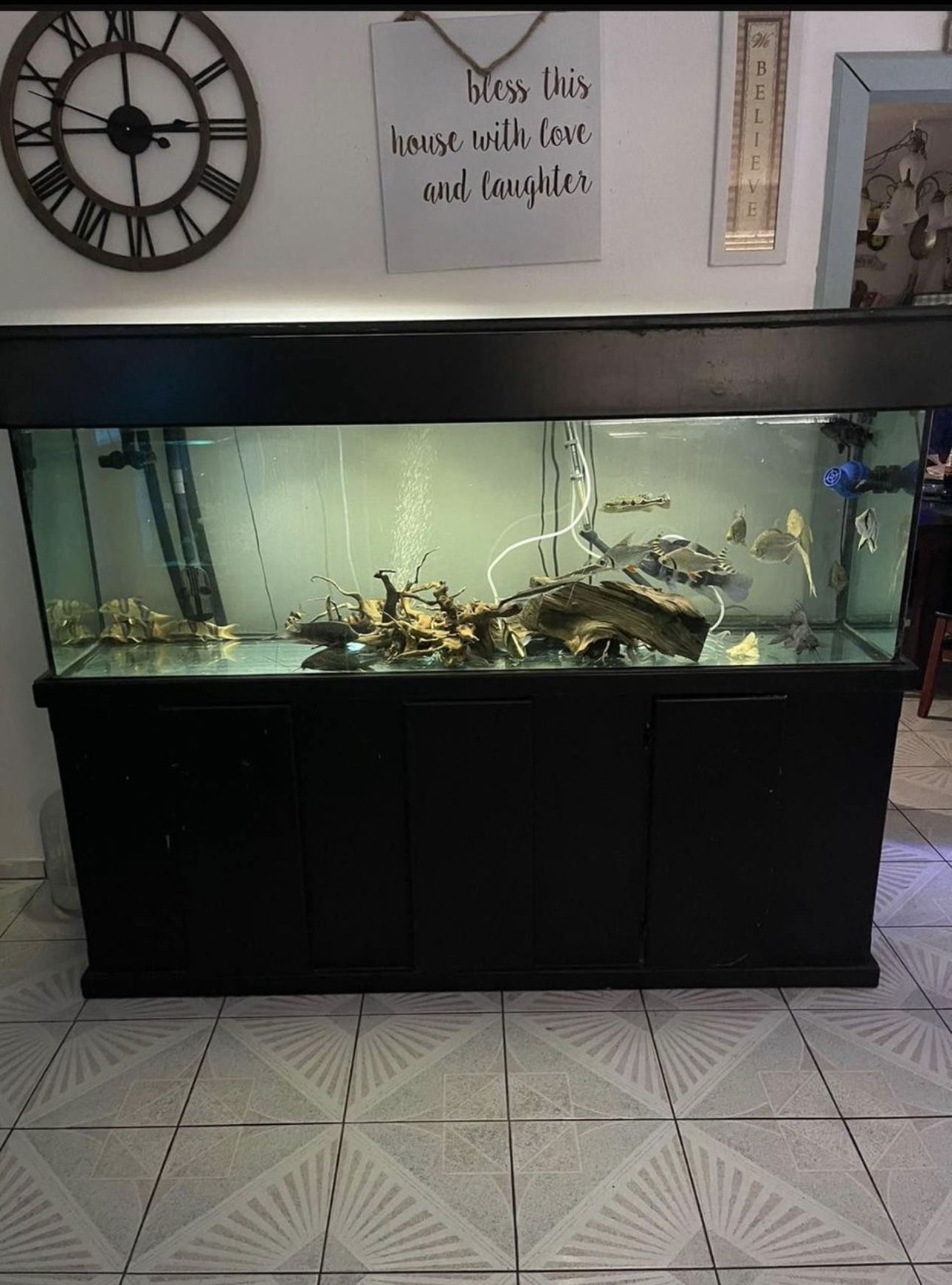 140 Gallons Fish Tank Aquarium