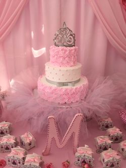 Princess birthday party( rent only)
