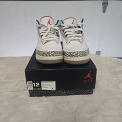 True Blue 3 Jordan Retro 3 Used