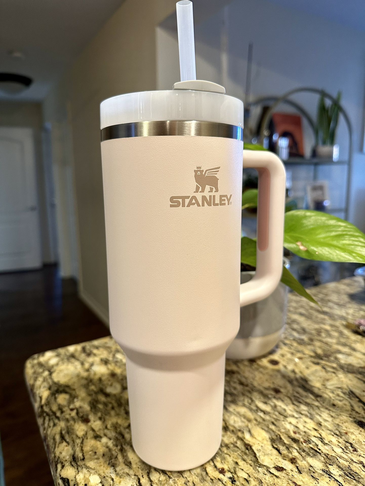Stanley Quencher H2.0 Flowstate Tumbler 30oz Rose Quartz for Sale in  Corvallis, OR - OfferUp