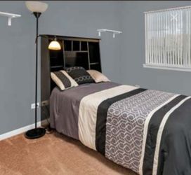 Bed for free
