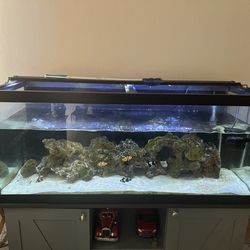  Fish Tank With Stand 
