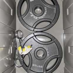 25lb Olympic Cast Weight Plates-Each 25lbs Pair/$60