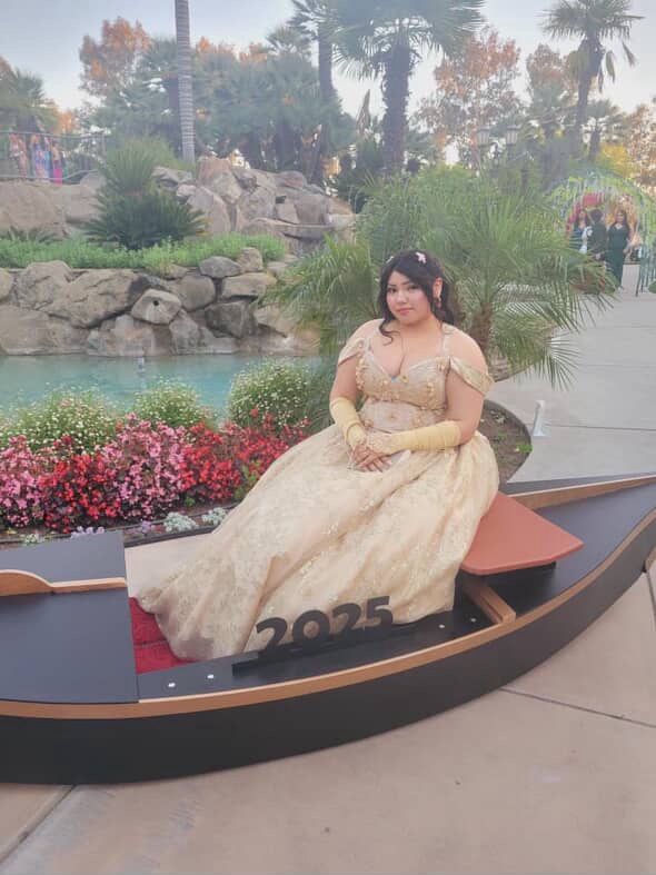 Quince/wedding/ Prom Dress