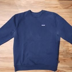 2 Patagonia Men's  Large Sweatshirt and 1 Hoodie 