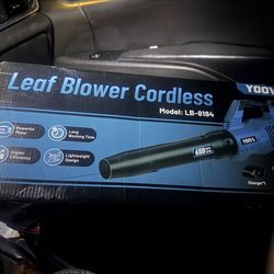 Cordless leaf blower
