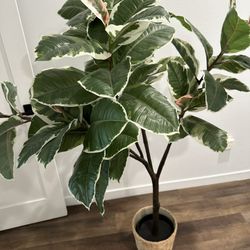 Ikea FEJKA Artificial potted plant, indoor/outdoor Rubber plant, 9 "
