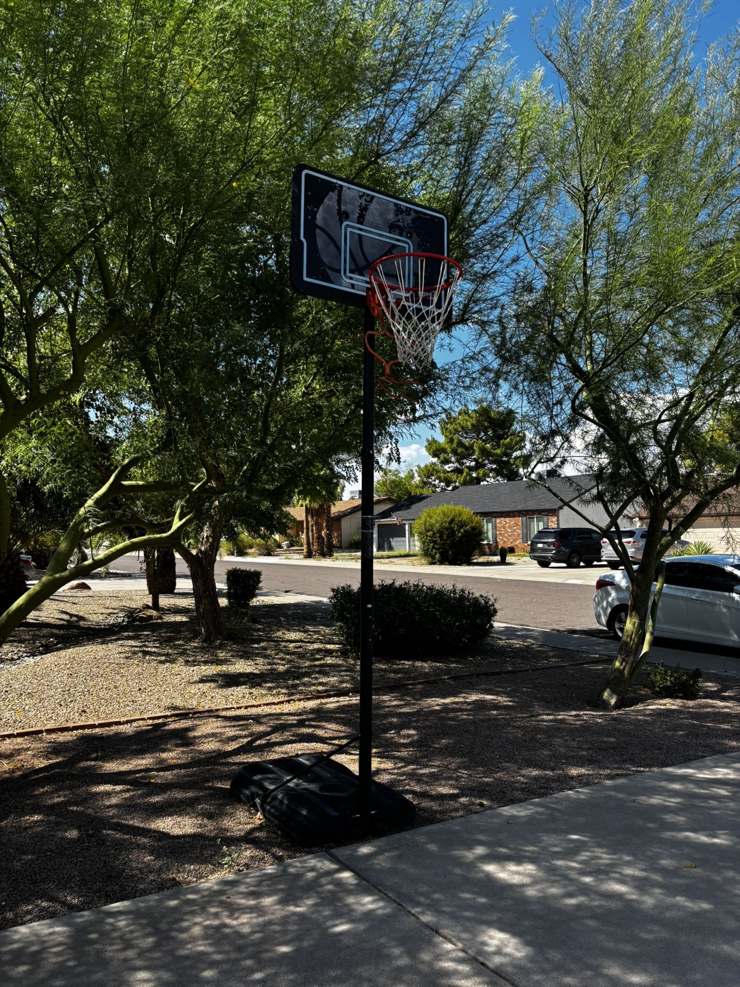 Lifetime Adjustment Basketball Hoop