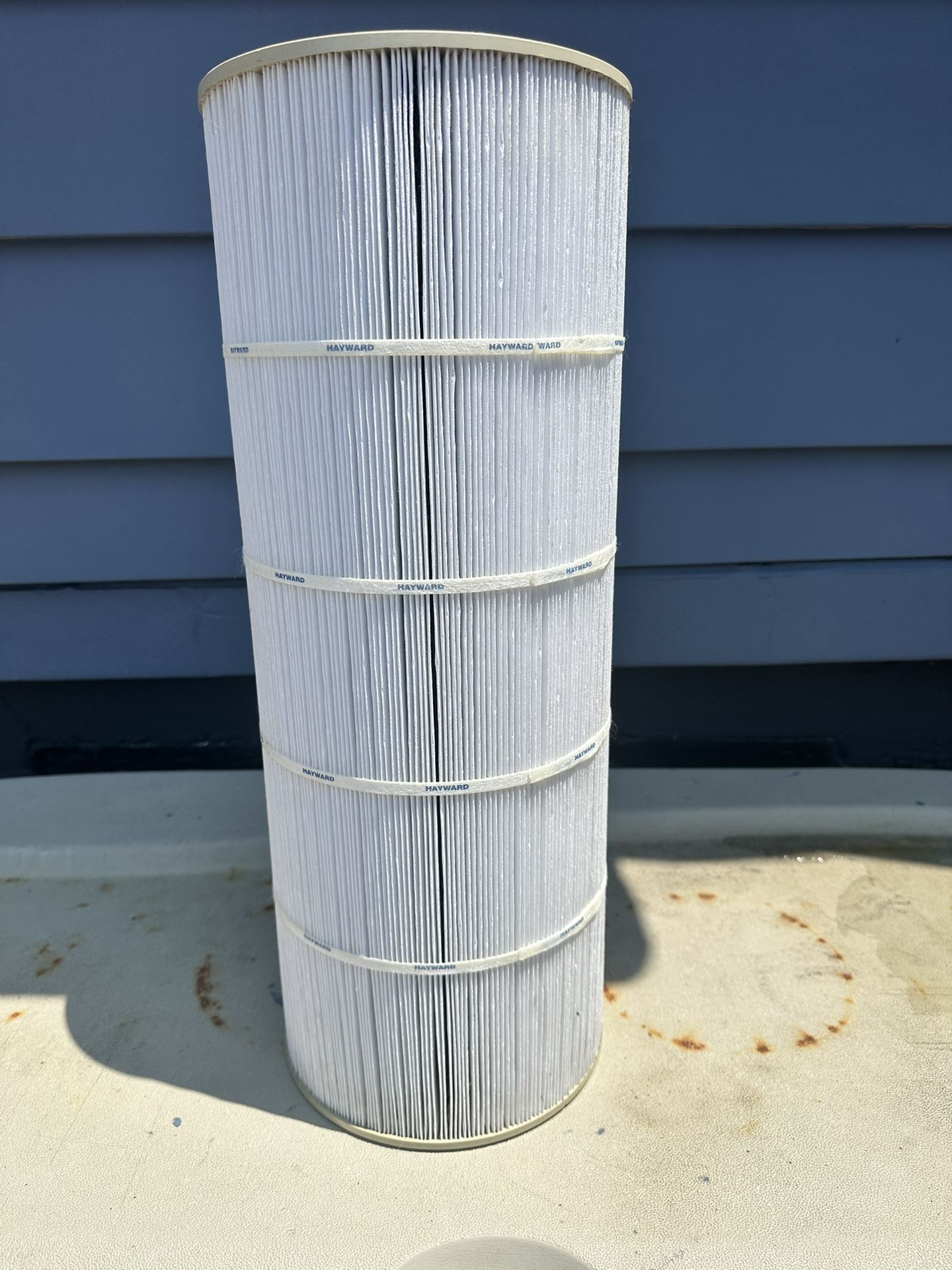 Hayward Pool Cartridge
