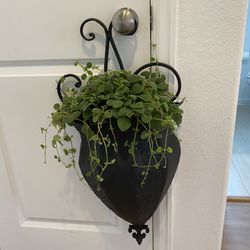 Metal Hanging Planter 