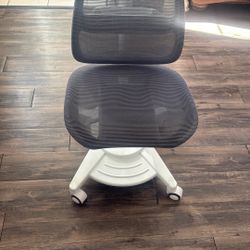 Adjustable Computer Chair 