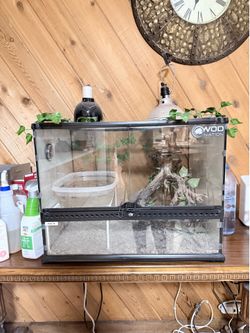Reptile enclosure