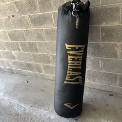 Everlast Heavybag Great Condition