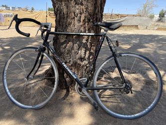 Raleigh Technium Aluminum Bicycle