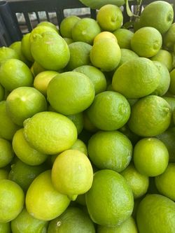 Mexican key Lime/ limon Mexicano