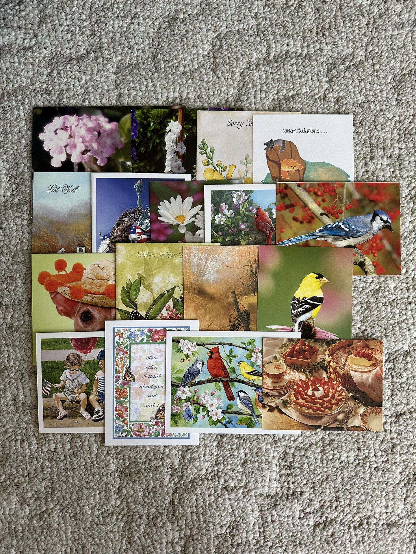 Greeting Card Assortment - Set of 17 Cards/envelopes