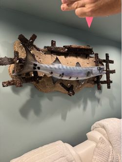 Large fish wall mount - over 3ft long - Retail: $1800