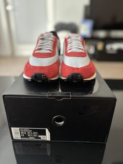 Nike Daybreak Pure Platinum