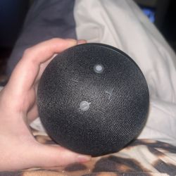 Echo Dot 5th Generation 
