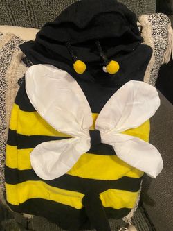 Bumble Bee Pet Halloween Costume