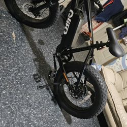 E Bike Qlife Racer Fat tire Electric Bike