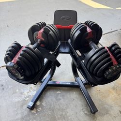 Bowflex 552 Dumbbells & Stand