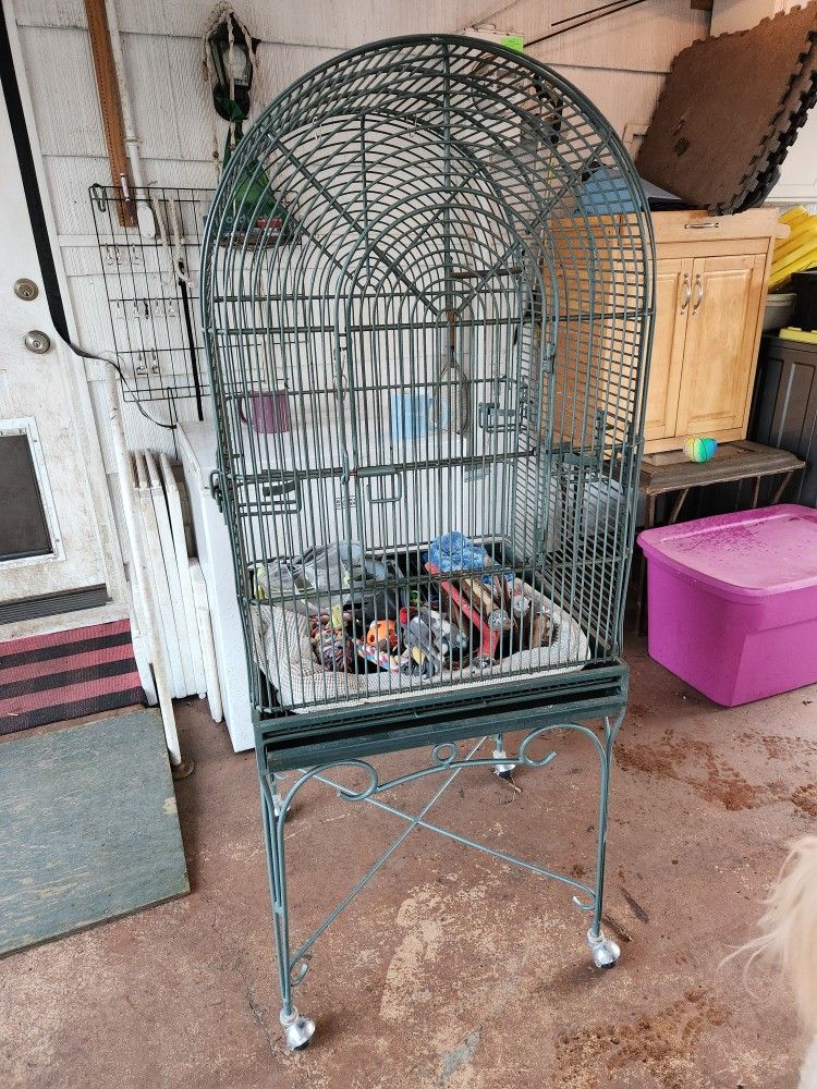 Bird Cage
