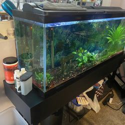 Fish Tank 55 Gallon