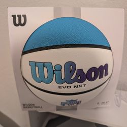 Wilson Evo NXT Unrivaled Edition Indoor Basketball Paige Bueckers 