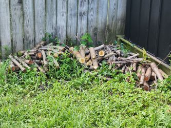 Free firewood