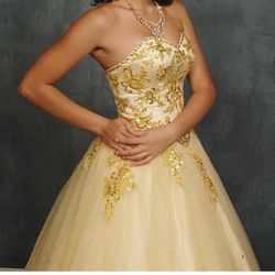 Dress Size 4 And Petti Coat 