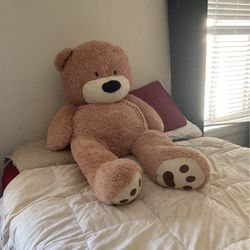 Free Large Teddy Bear To A Loving Home