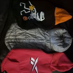 2 Dog Hoodies and 1 Puffer Jacket 