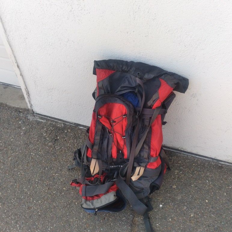 patagonia black hole duffel bag 40l classic navy Patagonia