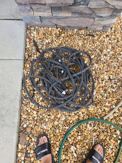 Water Hose 2 Each 