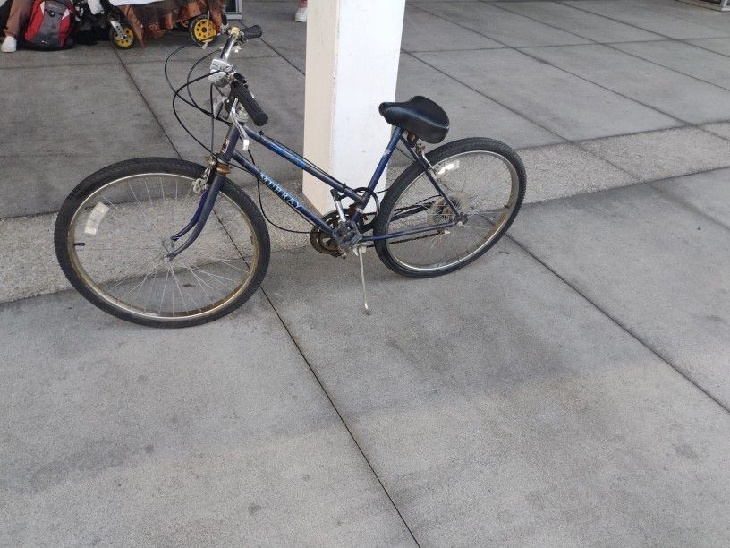 Murray Old School Bike