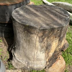 Really Big Wide Log That Can Be Used For Outdoor Table(Anvil)