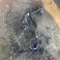 Chevy 4l80 5.7 Wireing Harness  2wd 