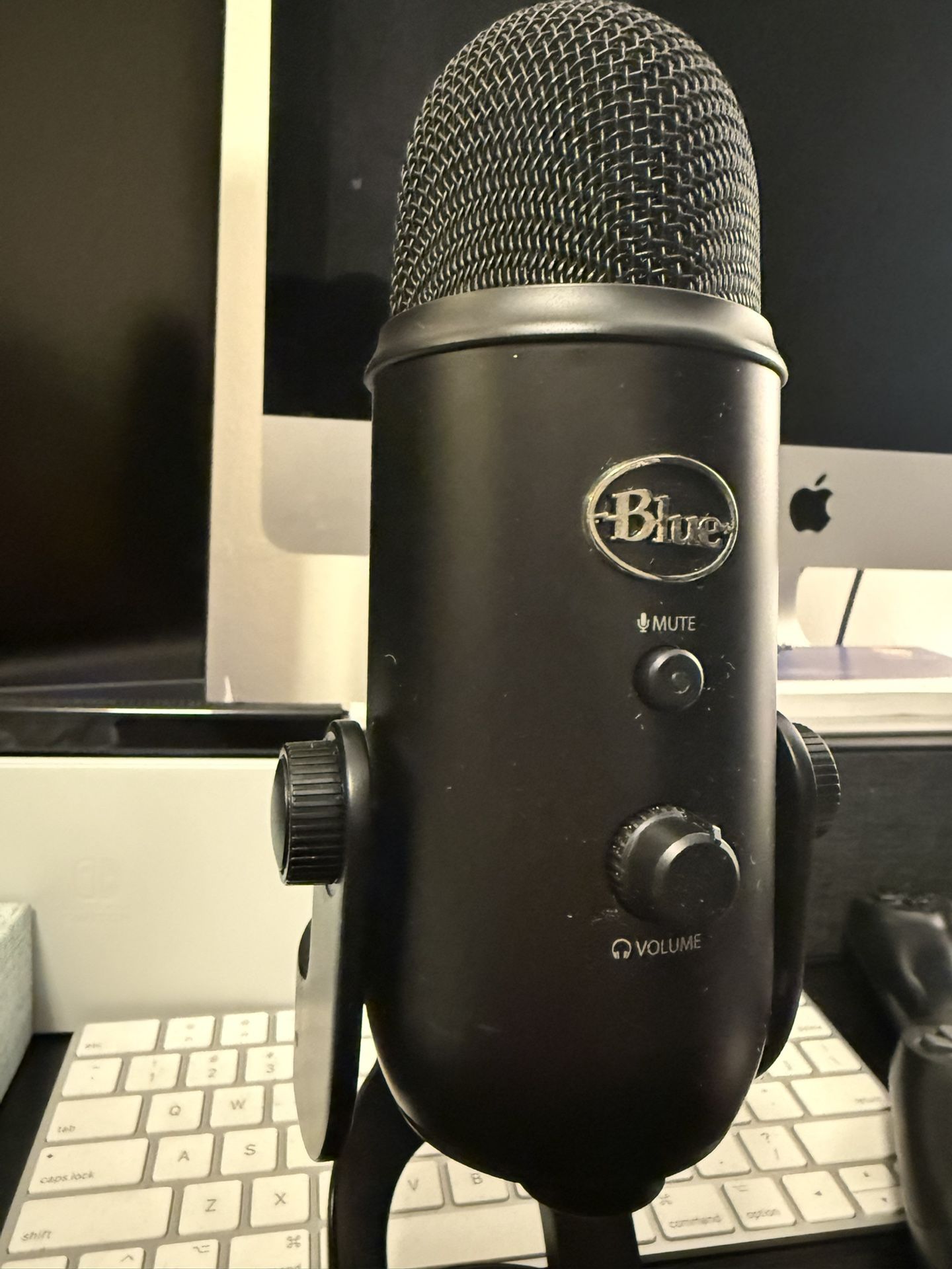 Blue Yeti Mic
