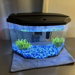 5 Gallon Fish Tank