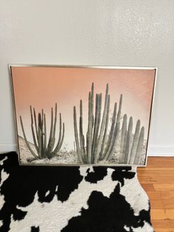 Cactus canvas in excellent condition