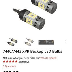 Diode Dynamics 7443 Reverse Bulbs