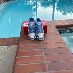 Nike Dunk Low Retro University Blue