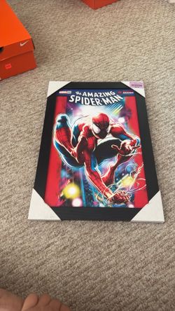 Spider man farmed picture