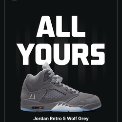 Jordan 5 wolf grey