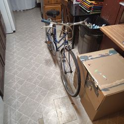 Schwinn Collegiate 3 Speed 