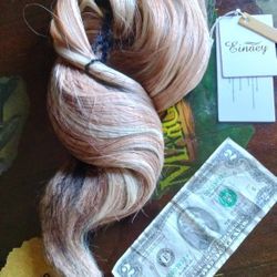 Brand New Dual Tone 20" Extensions 