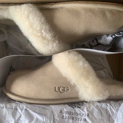 Uggs